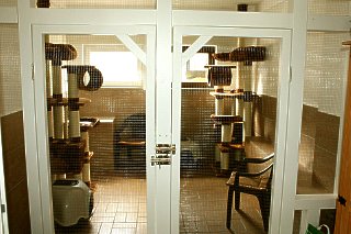 IMG_1899