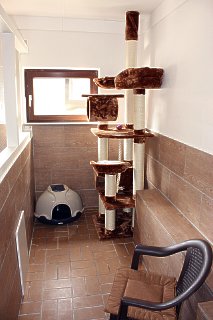 IMG_1901