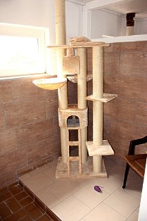 IMG_1903